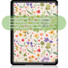 Amazon All-new Kindle K6 2022/2024, рисунок 9