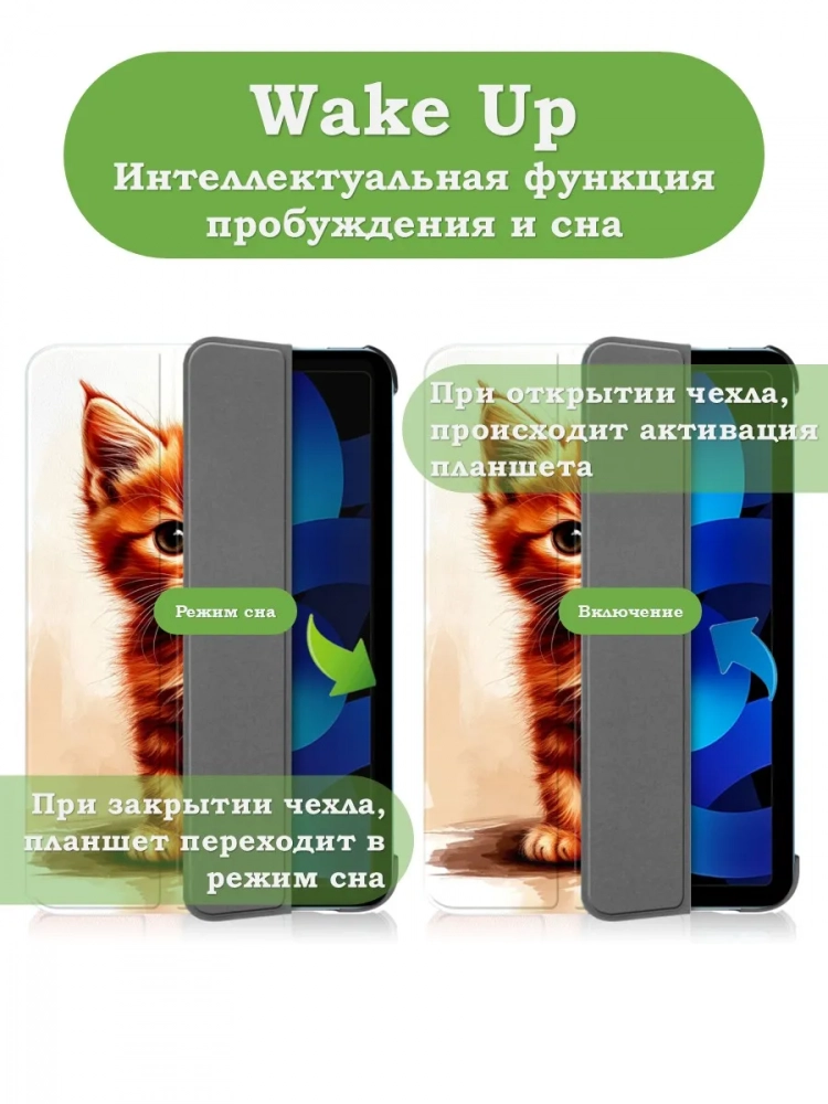 Чехол для iPad 10.9 2022 10th gen, Рыжий котенок