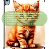 Чехол для iPad 10.9 2022 10th gen, Рыжий котенок