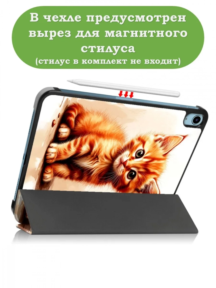 Чехол для iPad 10.9 2022 10th gen, Рыжий котенок