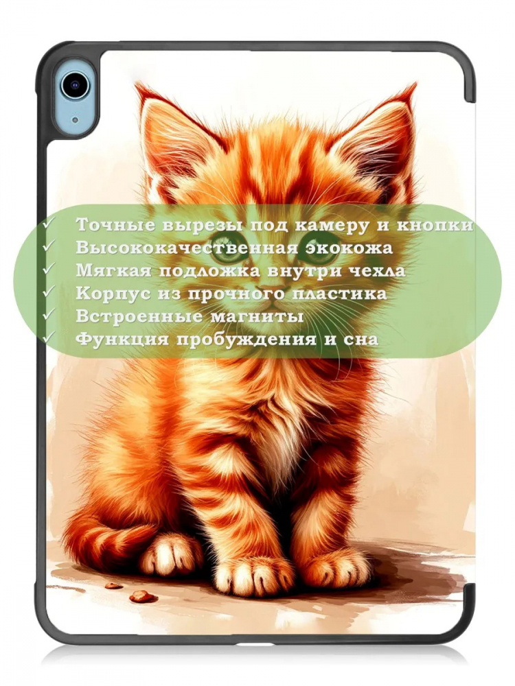 Чехол для iPad 10.9 2022 10th gen, Рыжий котенок
