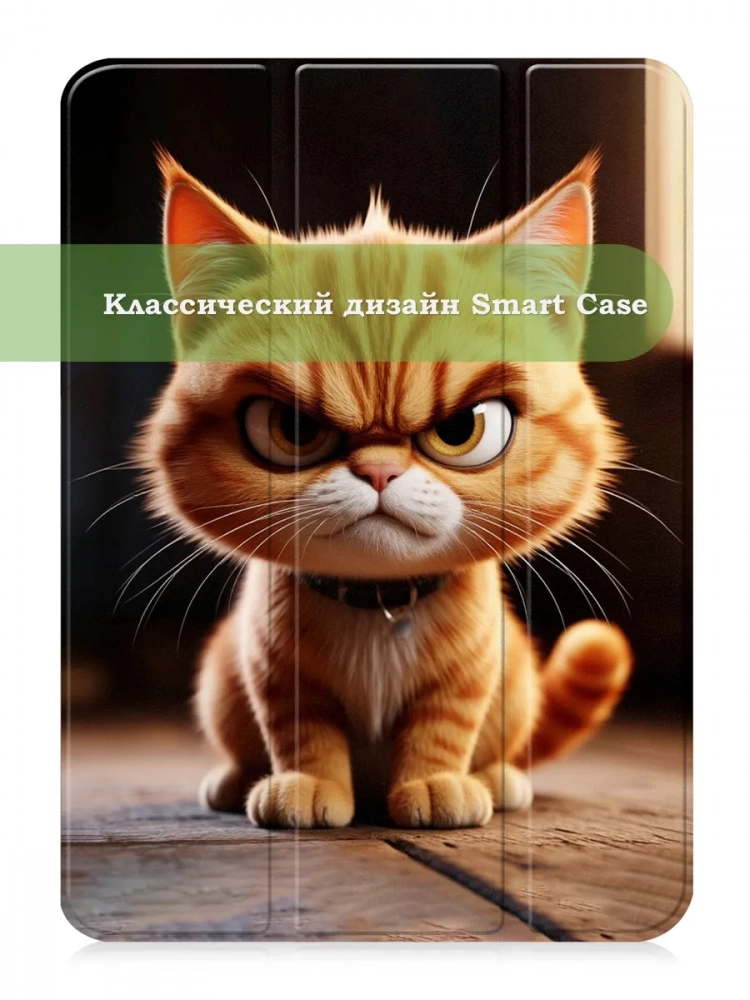 Чехол для iPad 10.9 2022 10th gen, Злой кот