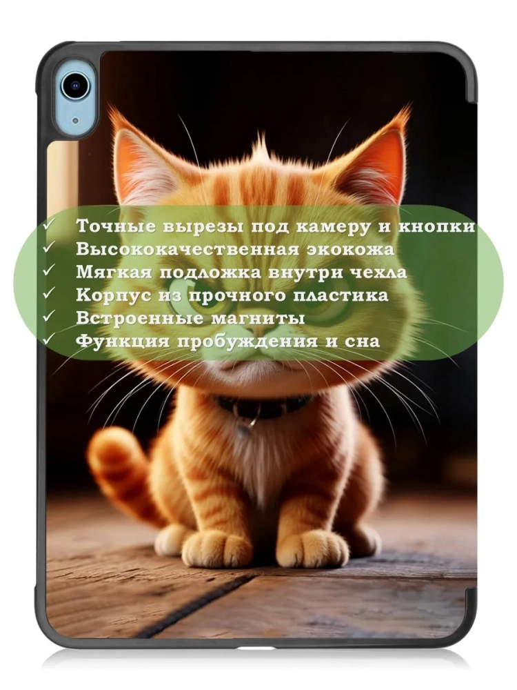 Чехол для iPad 10.9 2022 10th gen, Злой кот