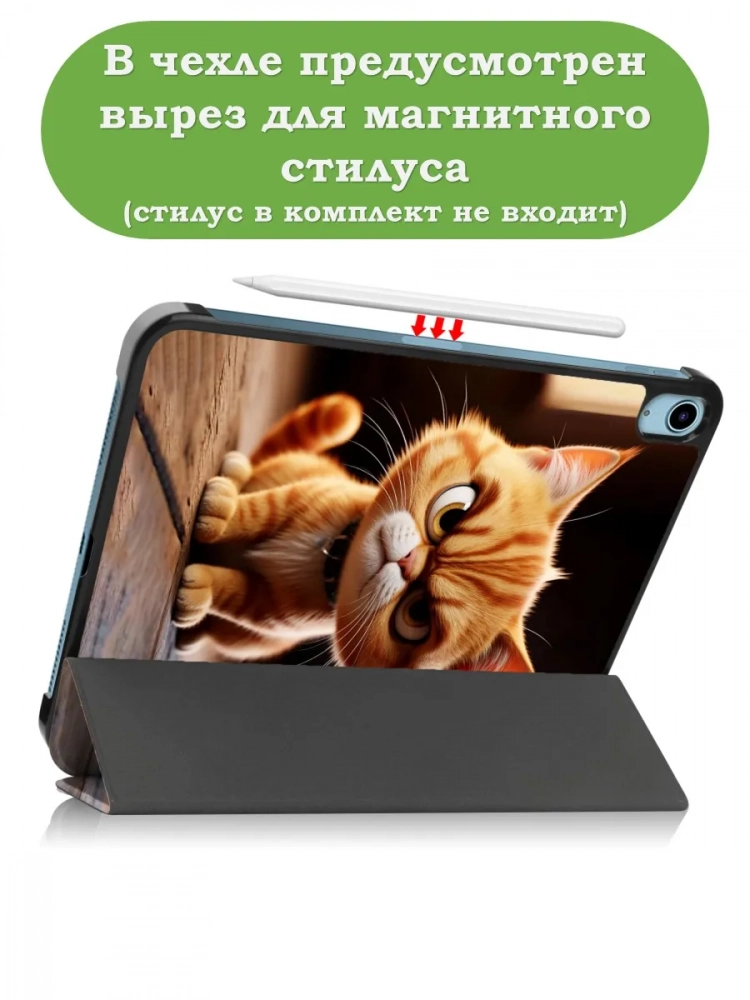 Чехол для iPad 10.9 2022 10th gen, Злой кот