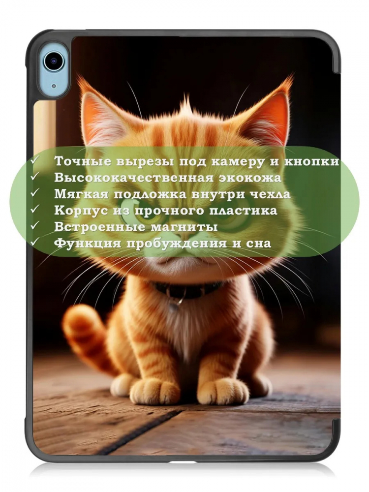 Чехол для iPad 10.9 2022 10th gen, Злой кот
