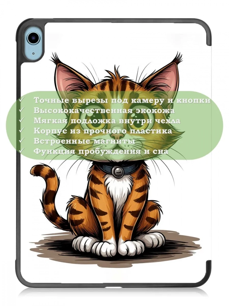 Чехол для iPad 10.9 2022 10th gen, Нарисованный кот