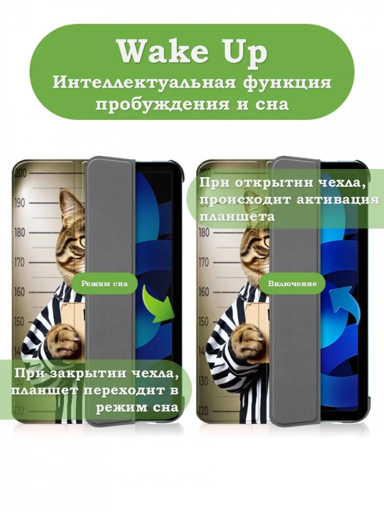 Чехол для iPad 10.9 2022 10th gen, Кот гадил в тапки