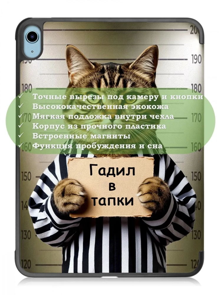 Чехол для iPad 10.9 2022 10th gen, Кот гадил в тапки