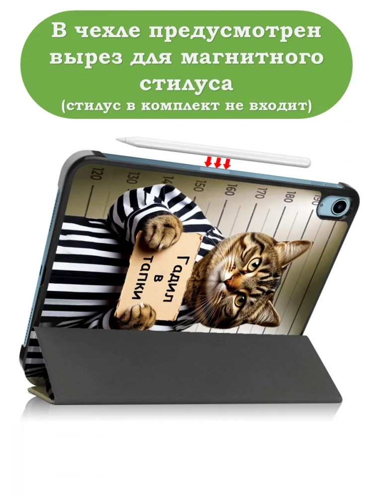 Чехол для iPad 10.9 2022 10th gen, Кот гадил в тапки