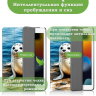Чехол для iPad Pro 10.5, iPad Air (2019), 10,5", Тюлень