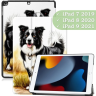 Чехол для iPad 10.2, Бордер-колли