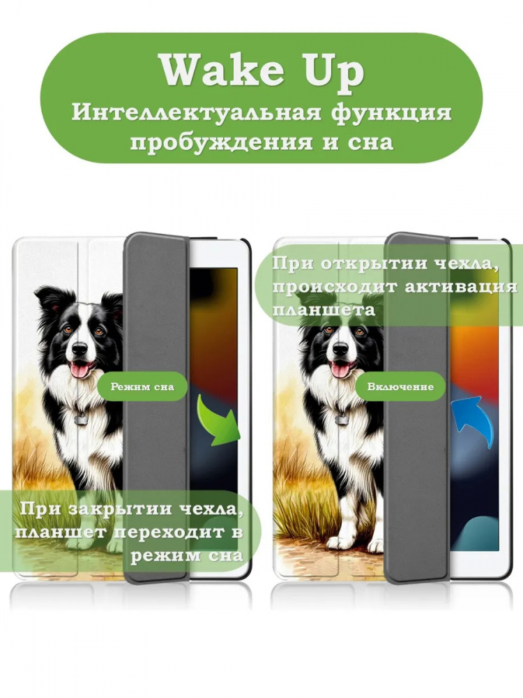 Чехол для iPad 10.2, Бордер-колли