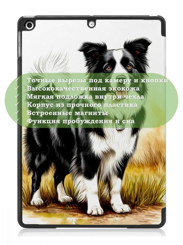 Чехол для iPad 10.2, Бордер-колли
