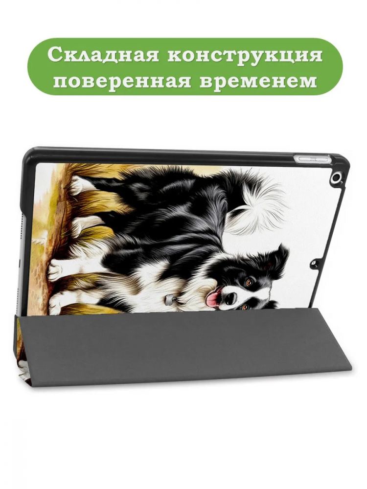 Чехол для iPad 10.2, Бордер-колли