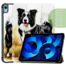 Чехол для iPad 10.9 2022 10th generation, Бордер-колли