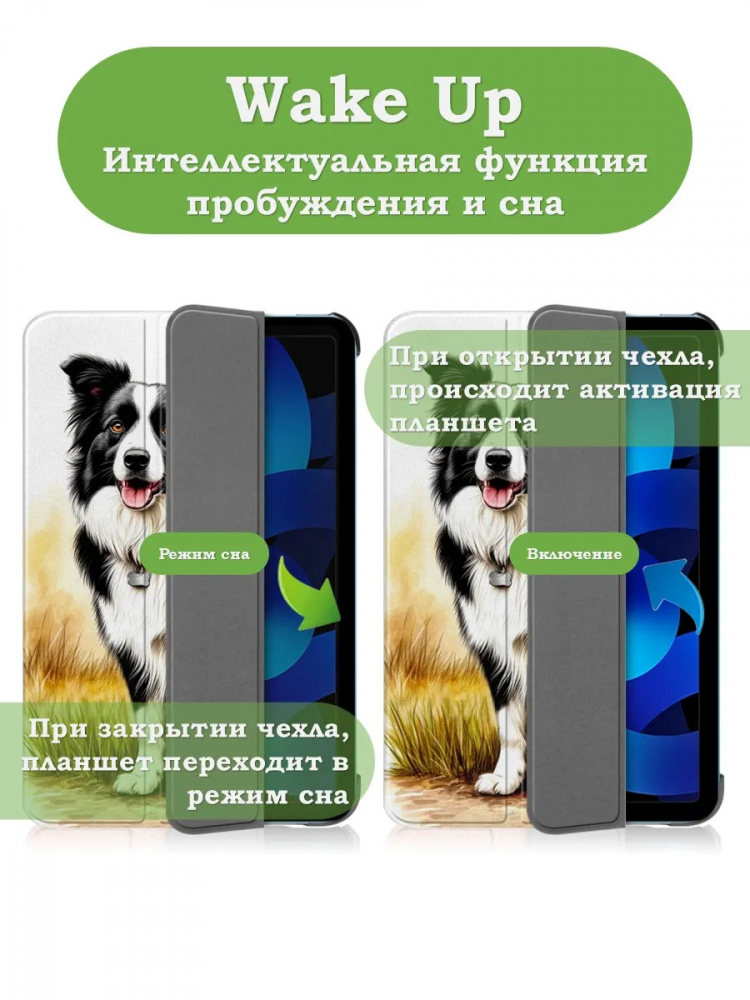 Чехол для iPad 10.9 2022 10th generation, Бордер-колли