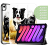 Чехол для iPad mini 6, mini 7, Бордер-колли