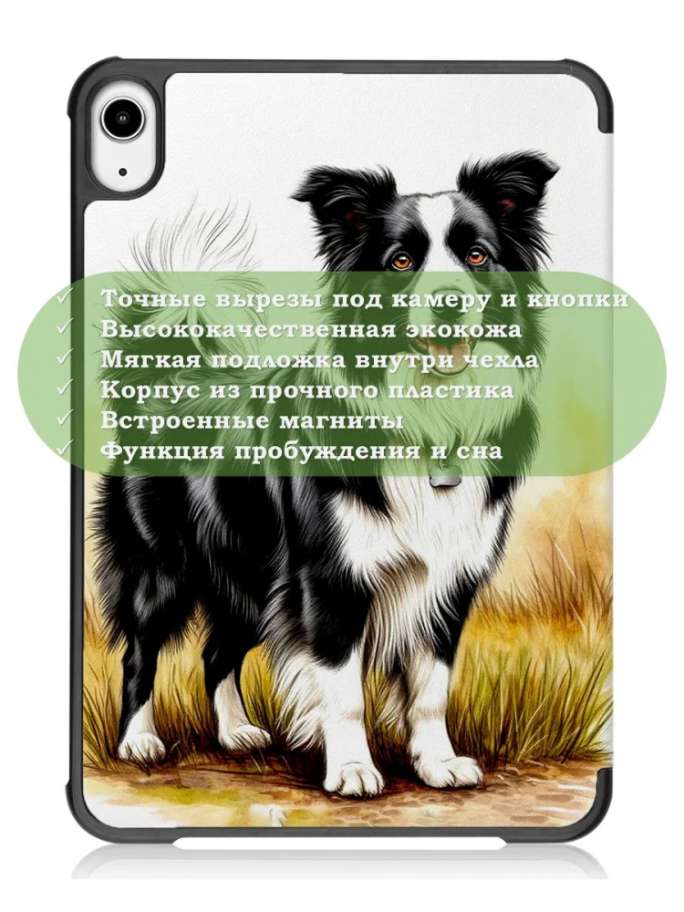 Чехол для iPad mini 6, mini 7, Бордер-колли