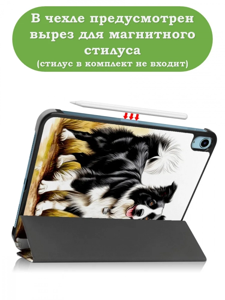Чехол для iPad Air 11 (6th gen), 2024, iPad Air 5, iPad Air 4, Бордер-колли Чехол для iPad Air 11 (6th gen), 2024, iPad Air 5, iPad Air 4, Бордер-колли