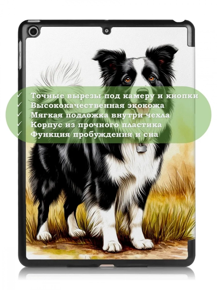 Чехол для iPad 5 2017 / iPad 6 2018, 9,7", Бордер-колли Чехол для iPad 5 2017 / iPad 6 2018, 9,7", Бордер-колли