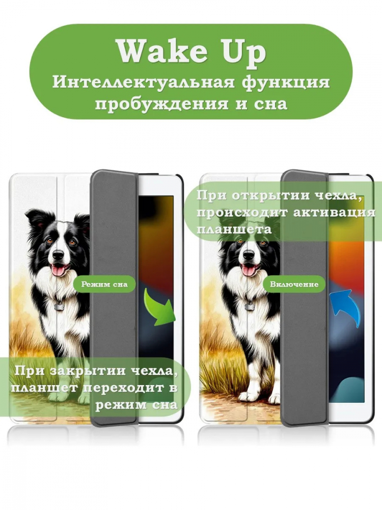 Чехол для iPad 5 2017 / iPad 6 2018, 9,7", Бордер-колли