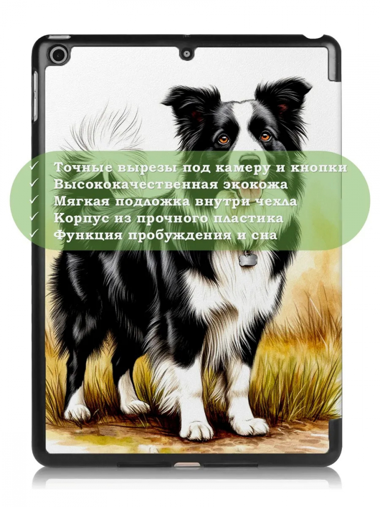 Чехол для iPad 5 2017 / iPad 6 2018, 9,7", Бордер-колли