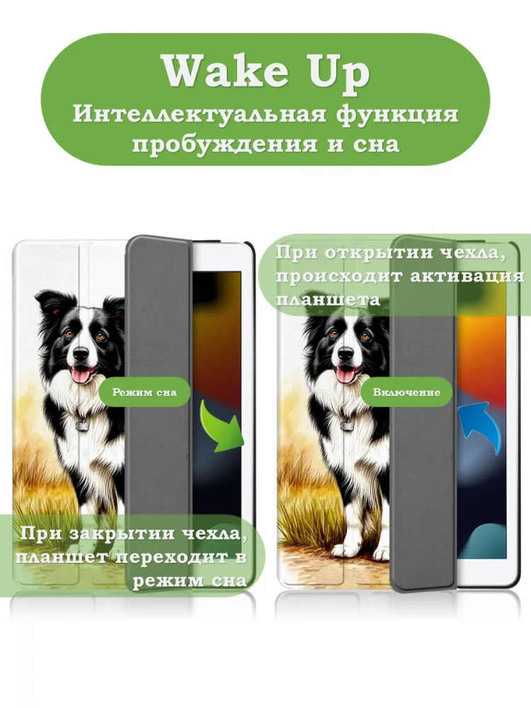 Чехол для iPad Pro 10.5, iPad Air (2019), 10,5", Бордер-колли