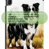 Чехол для HUAWEI MatePad SE 11 2024 (11se), Бордер-колли