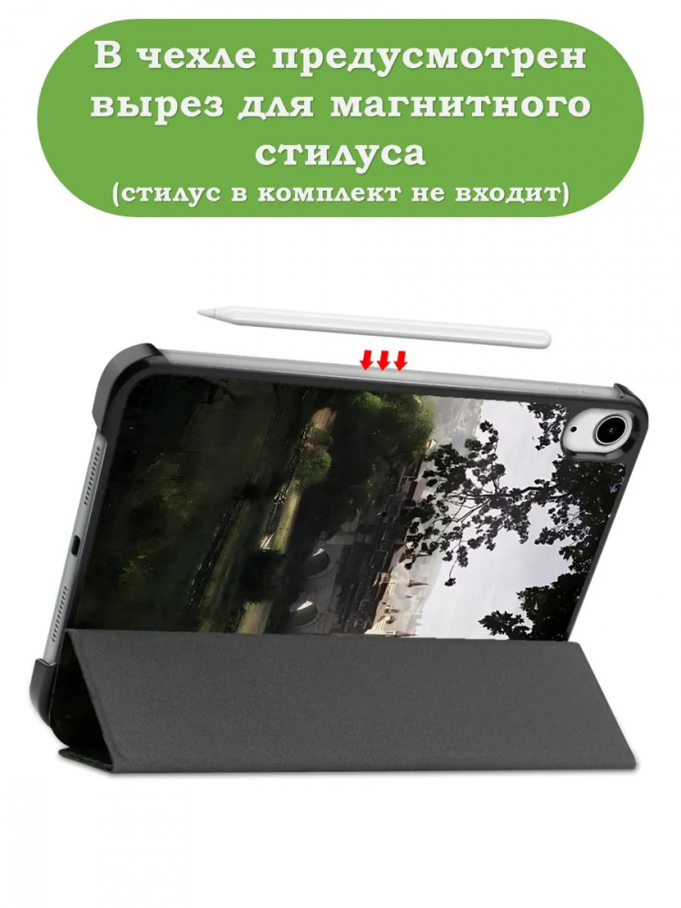 Чехол для iPad mini 6, mini 7, Мост