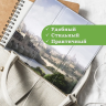 Чехол для iPad 5 2017 / iPad 6 2018, 9,7", Мост