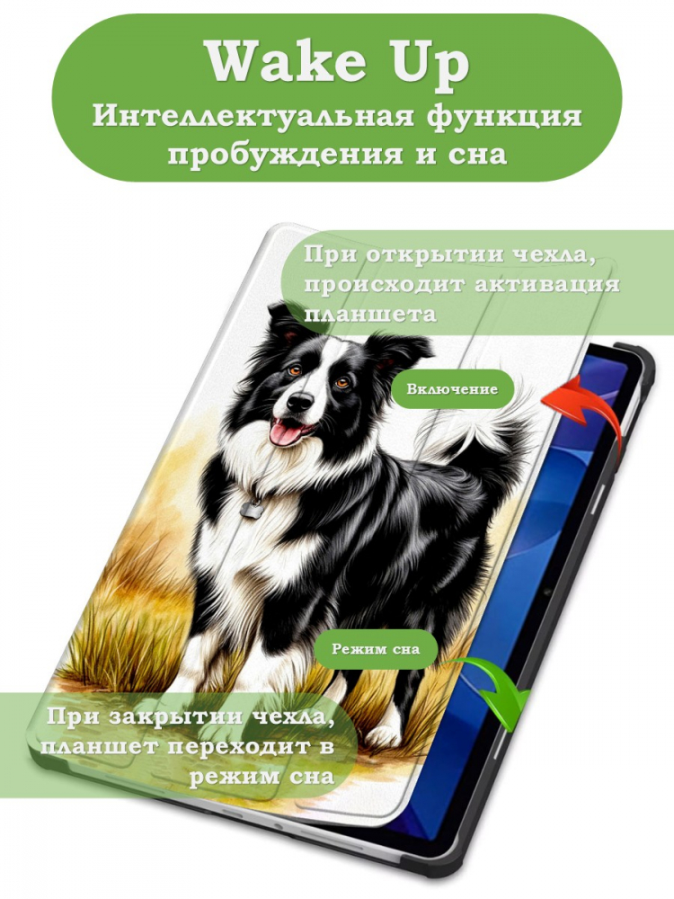 Чехол для Xiaomi Redmi Pad 2 (Бордер-колли)