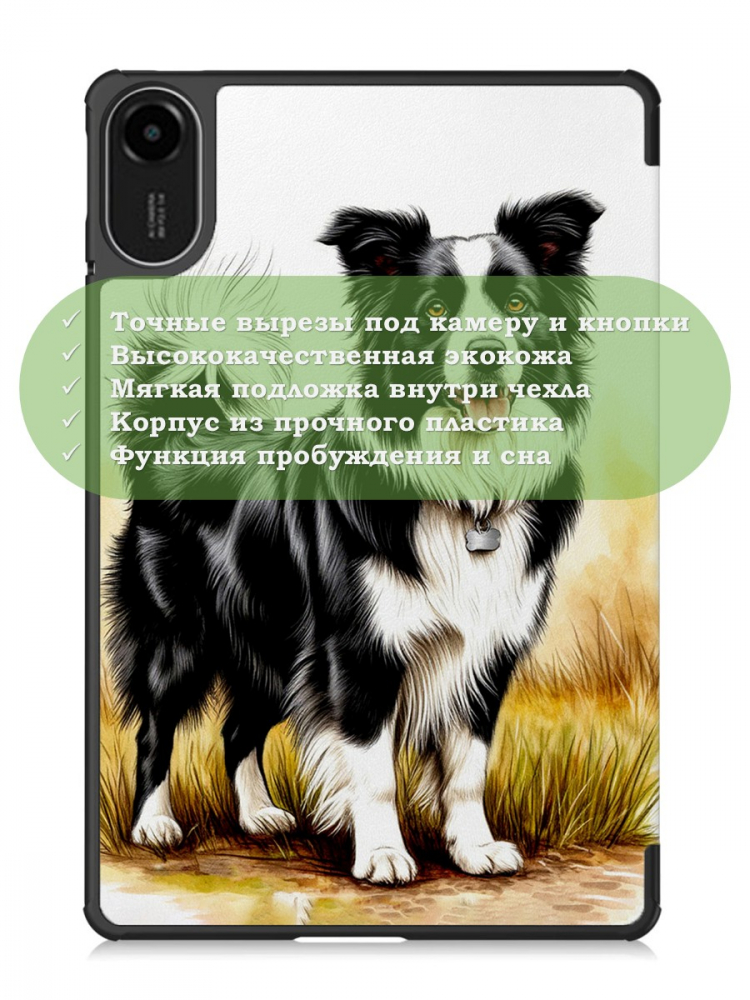 Чехол для Xiaomi Redmi Pad 2 (Бордер-колли)