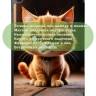 Чехол для Tab A11+ (А11 Plus+), Злой кот