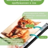Чехол для Samsung Galaxy Tab S9, S9 FE, Рыжий котенок