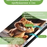 Чехол для Samsung Galaxy Tab S9, S9 FE, Злой кот