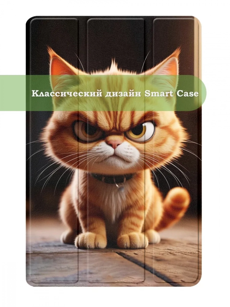 Чехол для Samsung Galaxy Tab S9, S9 FE, Злой кот