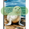 Чехол для Tab A11+ (А11 Plus+), Тюлень