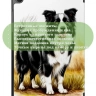 Чехол для Tab A11+ (А11 Plus+), Бордер-колли