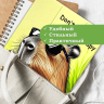 Чехол для iPad 10.9 2022 10th generation, Капибара