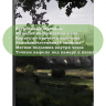 Чехол для Tab A11+ (А11 Plus+), Мост